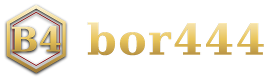 bor444 logo
